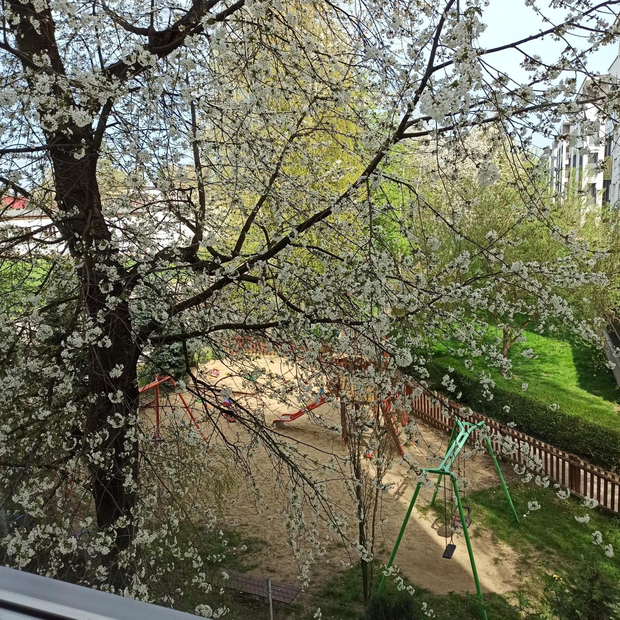 Apartament Dunikowskiego 57M2 Lublin Luaran gambar